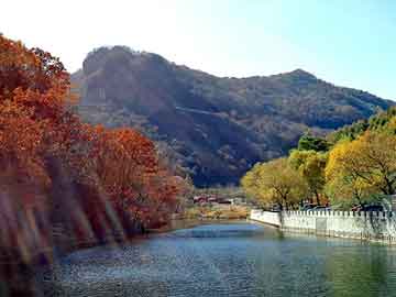 新澳天天开奖资料大全旅游团，求购硅石